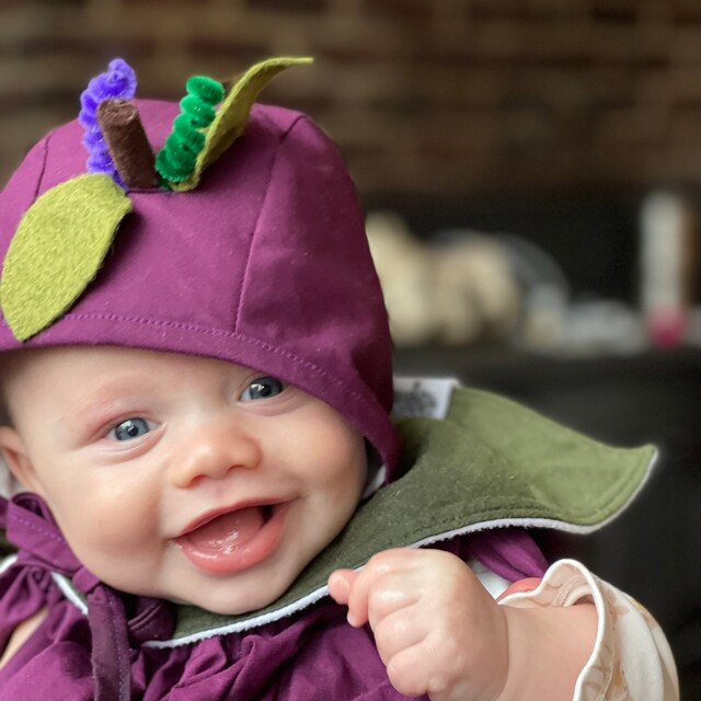 Blueberry Costume blueberry Baby Costume blueberry Baby Set blueberry Baby Outfit baby Blueberry Set baby Blueberry Costume fruit Costume Etsy