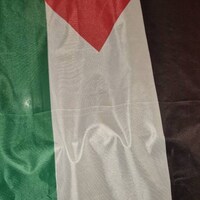 PRFELMG Personalisierte Flagge – Selbst Gestalten Mit Text, Logo Oder Foto, Beidseitig