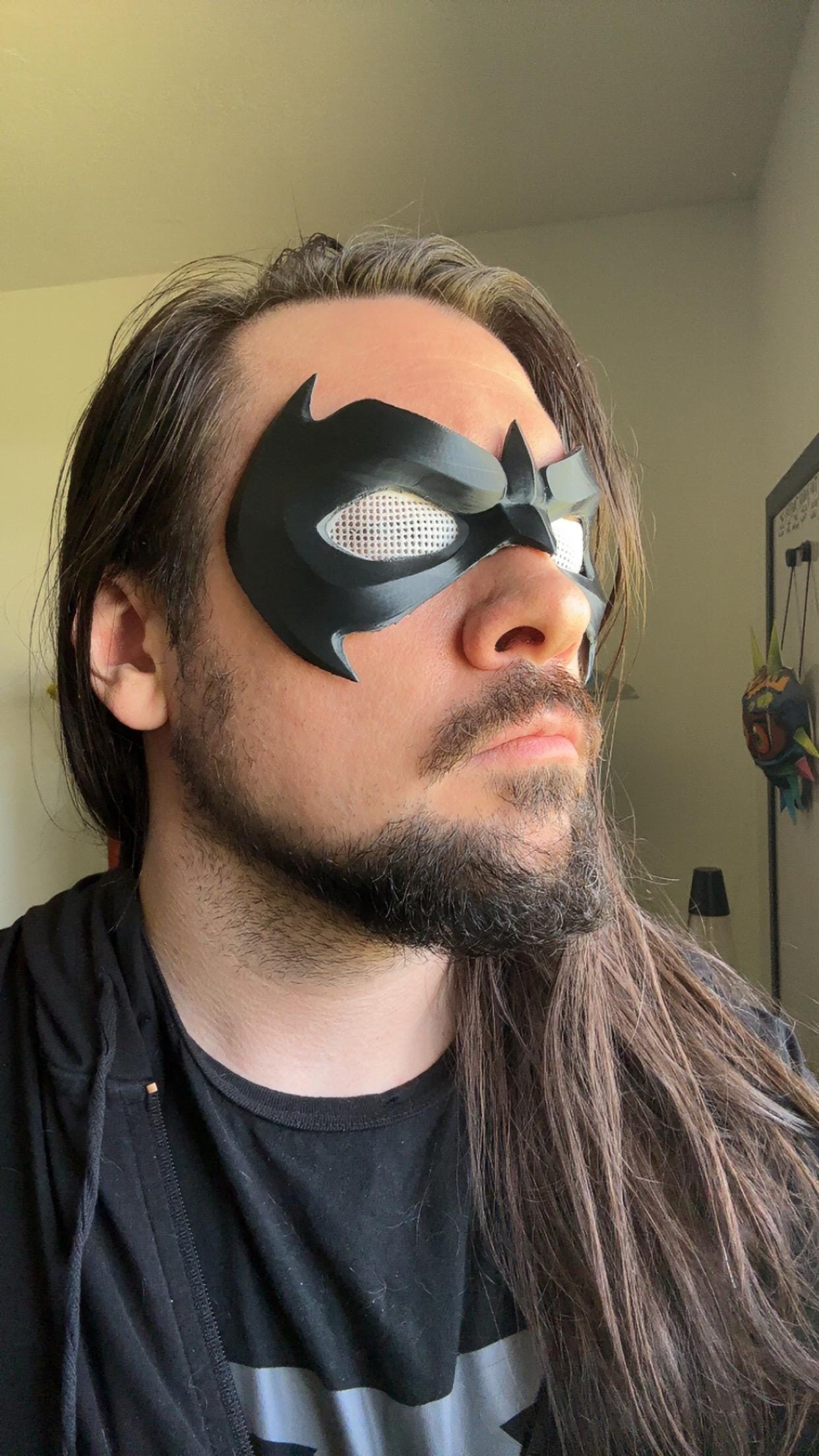 Robin With DETACHABLE eye mesh, various colours, Cosplay Costume Halloween Domino Mask 3D print
