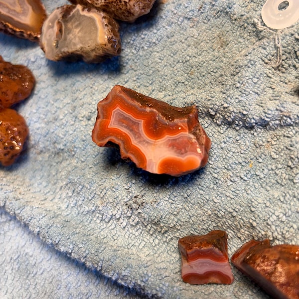 Raw Agates From Malawi, Alimajo Agate Nodules, 1lb to 20lbs Natural ...