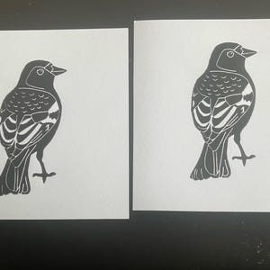 Bindu ha añadido una foto de su compra