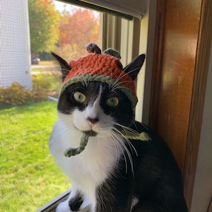 Riley ha añadido una foto de su compra