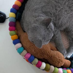 Vera added a photo of their purchase