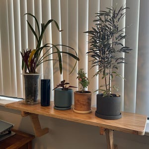 Matthew added a photo of their purchase