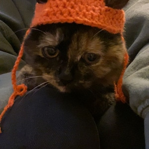 sofia added a photo of their purchase
