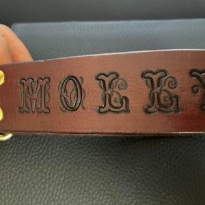 Personalized Leather Step-in Dog Harness With Name - Etsy