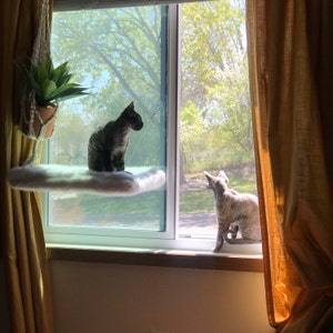 Amanda added a photo of their purchase