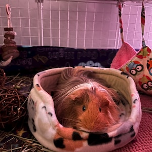 Eva added a photo of their purchase