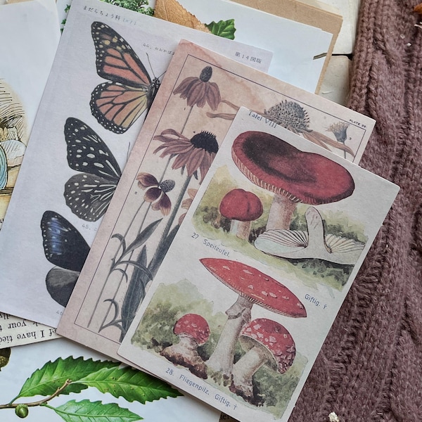 200PCS Junk Journal Kit, Ephemera Pack, Plants Flower Themed Vintage ...