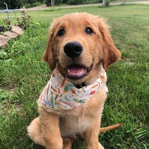 Kaylee ha añadido una foto de su compra