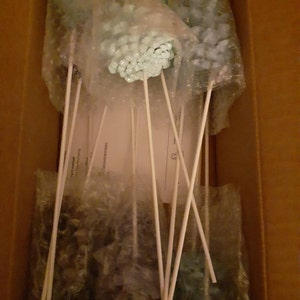 Elisbeth added a photo of their purchase