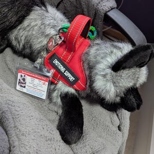 Alix added a photo of their purchase
