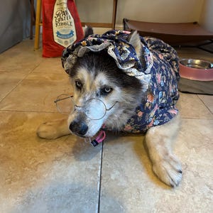 Smiffys Costume per Cani, Grigio con Tuta con Cappuccio, Costume per Bambini a Forma di Animale Smiffys Costume per Cani, Grigio con Tuta con Cappuccio, Costume per Bambini a Forma di Animale
