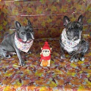 Sonia added a photo of their purchase