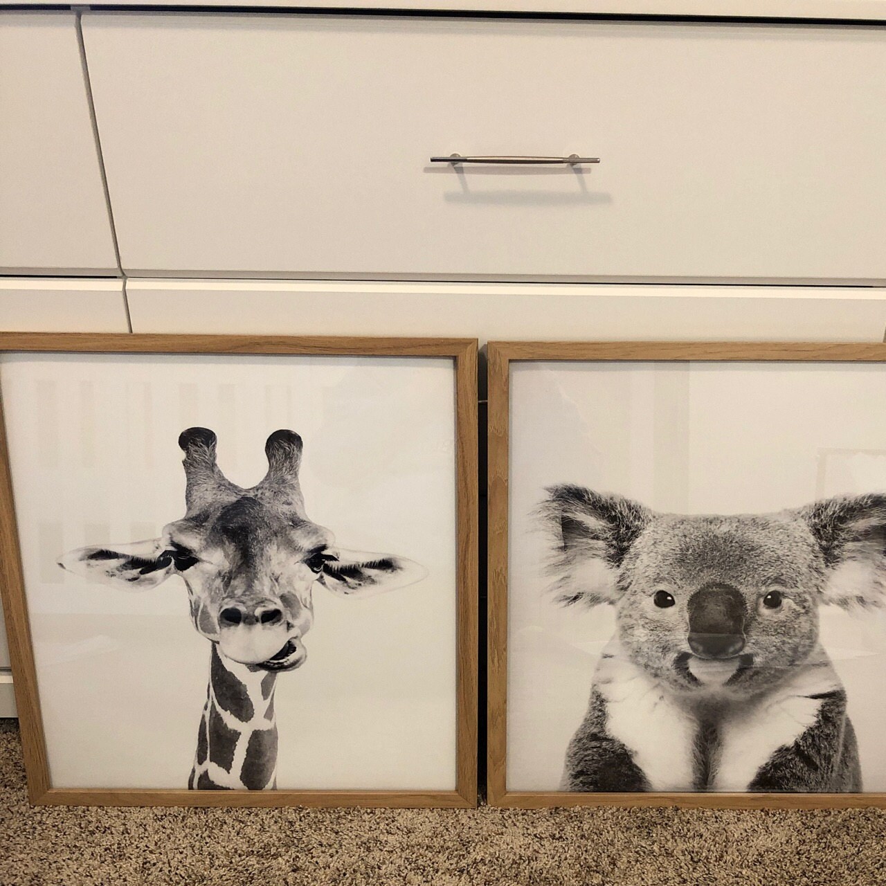 Cockatoo Print Digital Download Parrot Print Australian Etsy