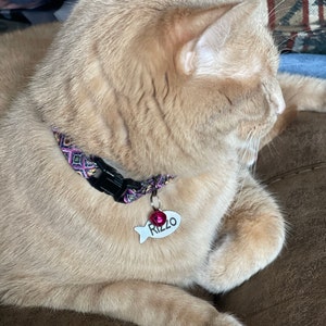 Kristin added a photo of their purchase
