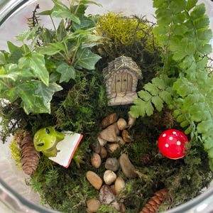 Carol added a photo of their purchase