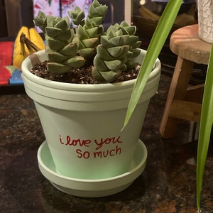 Nicole added a photo of their purchase