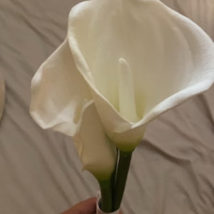 Lily added a photo of their purchase