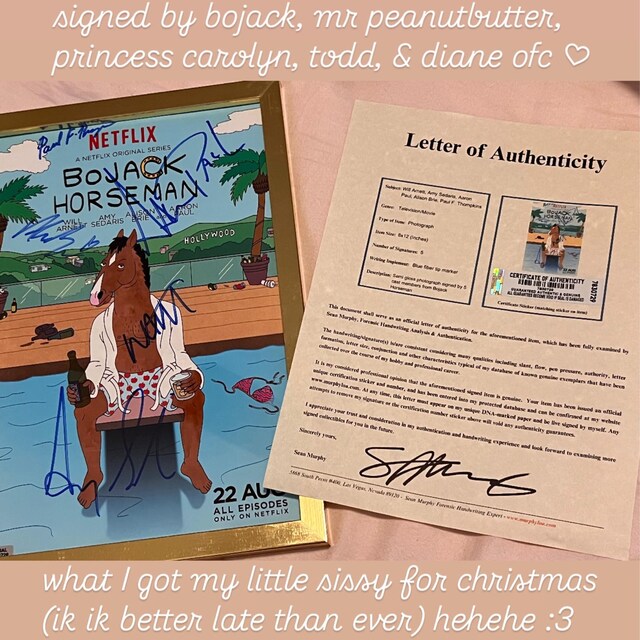 Photo Signée BoJack Horseman A3 Encadrée - Autographe Will Arnett - Cadeau Fan Série TV