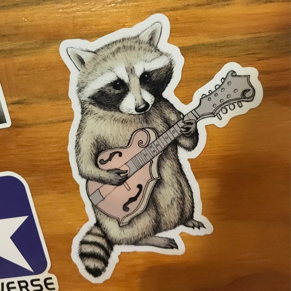 Bluegrass Vinyl Sticker - Raccoon Bumper Sticker - Waterproof Water ...