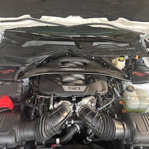 Holly added a photo of their purchase