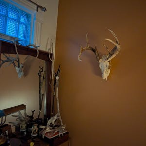 K added a photo of their purchase