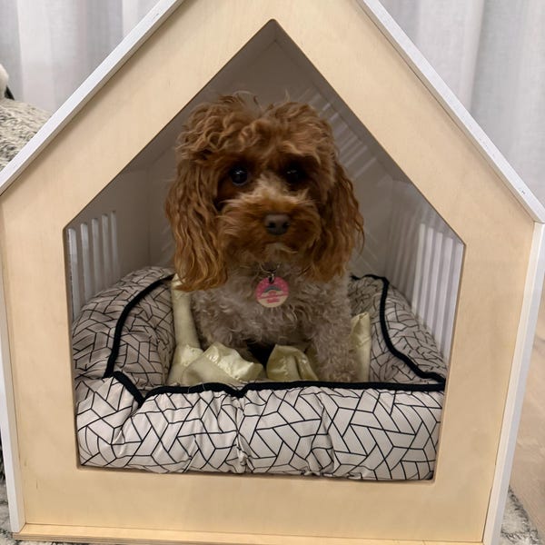 Customizable Small Dog Crates Reference: Modern Dog Crate Dog House For Small Dogs Big Dog