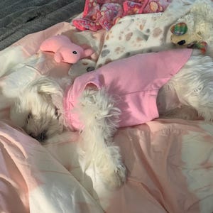 Amanda added a photo of their purchase