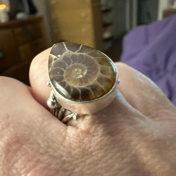 •AMMONITE FOSSIL - 1• silver ring (size 7)