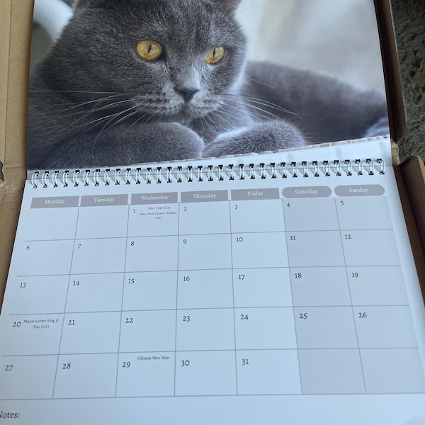 Desk Calendar 20252026 Standing Flip Desktop Calendar With