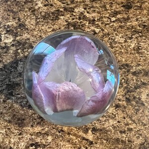 Jennifer added a photo of their purchase