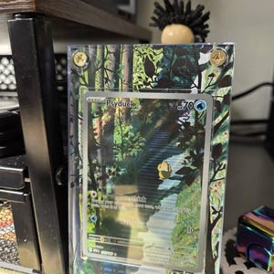 Mitchell added a photo of their purchase