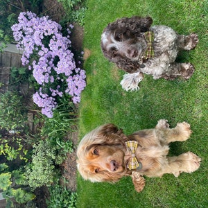 imogen added a photo of their purchase