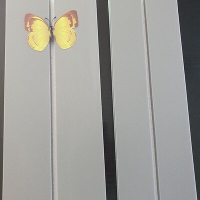 2.5 In Butterfly Moth Spreading Setting Pinning Board Foam Entomology Taxidermy