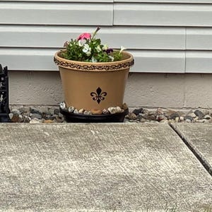 Catherine added a photo of their purchase