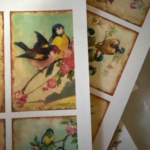 Mary added a photo of their purchase