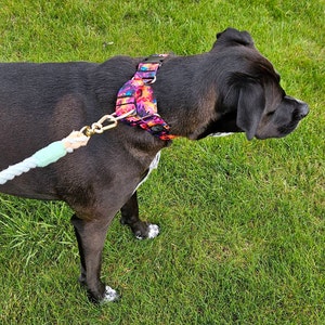 Amy added a photo of their purchase