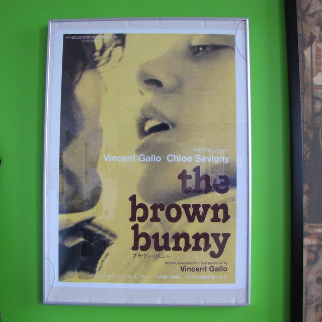 Vincent Gallo: the Brown Bunny (18x24) - Vintage Movie Poster - Etsy