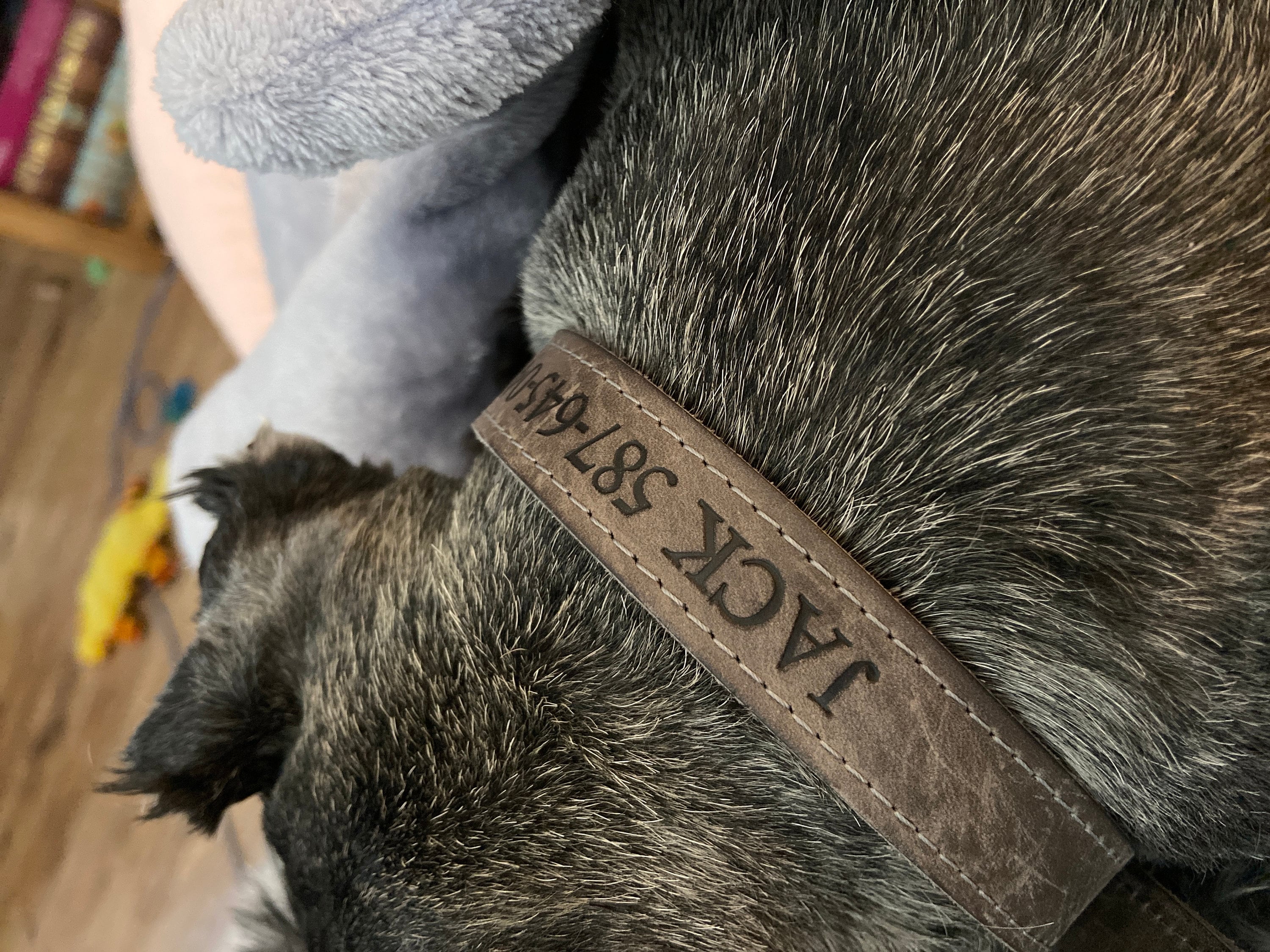 Personalized Leather Dog Collar, Personalized Dog Collar, Genuine Leather Dog Collar, Engraved Leather Dog Collar, Customized Dog Collar
