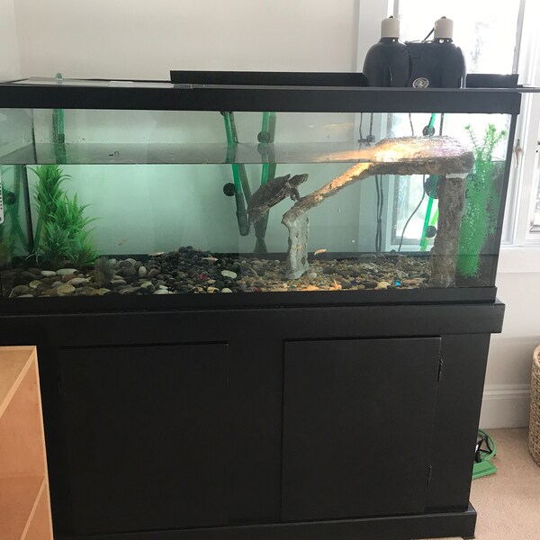 View of Custom Turtle Basking Platform Dock, Faux Stone Aquarium Ramp, Large ...