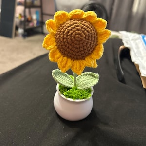Jordan added a photo of their purchase