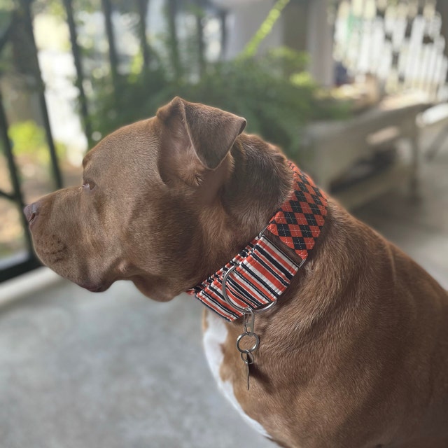 Martingale Dog Collars Leashes & Unique by TheEclecticHound