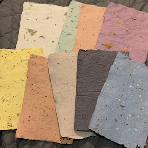 Daisy added a photo of their purchase