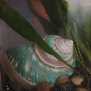 Marz added a photo of their purchase