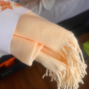 burnt orange pashmina shawls