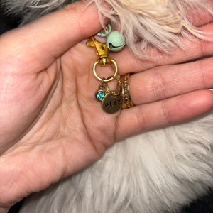 Lauren added a photo of their purchase