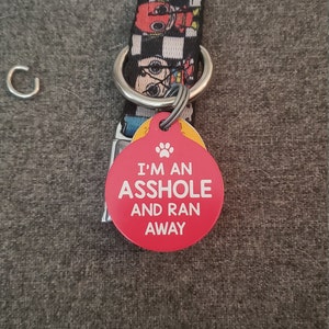 1.25 Diameter Im an Asshole and Ran Away Double Sided , Pink Large Funny Dog Cat Pet Collar Charm 