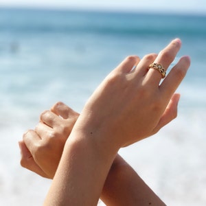 Calley added a photo of their purchase