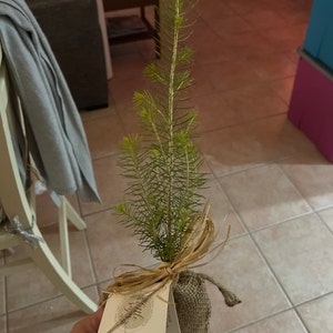 Carolina ha añadido una foto de su compra